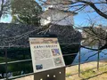 府内城址の写真_501646