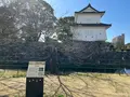 府内城址の写真_501648