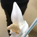 道の駅福良の写真_501737