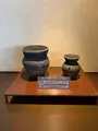 北こぶし知床 ホテル＆リゾートの写真_501935