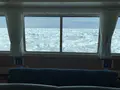 流氷観光砕氷船おーろらの写真_502008