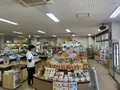 マリンオアシスはかたの写真_502480