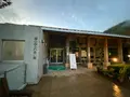 霧の森の写真_502577