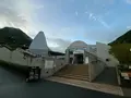 霧の森の写真_502578
