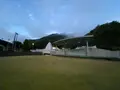霧の森の写真_502579