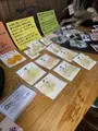tete&tete（古民家cafe）の写真_502732