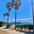 県民の浜の写真_502739