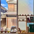 ティーコージーの写真_502747