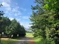 송악산の写真_502969