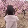 道の駅 萩しーまーとの写真_502987