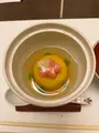 お料理琢磨の写真_503043