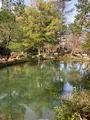 玉泉院丸庭園の写真_503228