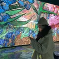 光のバンカーの写真_503588
