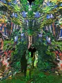 光のバンカーの写真_503589