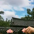 全州韓屋マウル（Jeonju Hanok Village）の写真_503600
