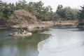 東宮と月池 (雁鴨池)の写真_503658
