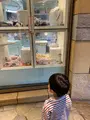 キティ ダイヤモンドの写真_505222