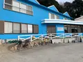 ゲストハウス しらいしの写真_505234