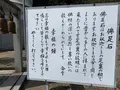 開龍寺の写真_505244