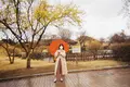天馬塚の写真_505261