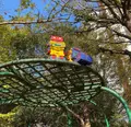 ロボット（ロボロボ）公園（正式名 さくら坂公園）の写真_505351