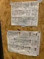 ナナホシの写真_505689