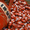 川越氷川神社の写真_506004