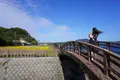池田湖遊園地の写真_506064