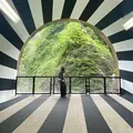 清津峡渓谷トンネルの写真_506328