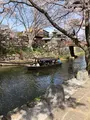八幡堀の写真_507410