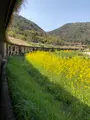 ラコリーナ近江八幡の写真_507424