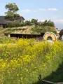 ラコリーナ近江八幡の写真_507425