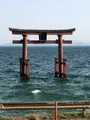 白鬚神社の写真_507432