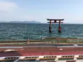 白鬚神社の写真_507434