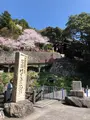 竹生島の写真_507574