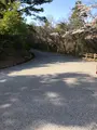 小谷城中腹駐車場の写真_507599