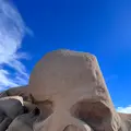 スカル・ロックの写真_507654