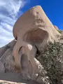 スカル・ロックの写真_507655