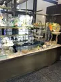 黒壁ガラス館の写真_507791