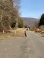 旧北陸線山中ロックシェッドの写真_507960