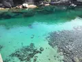柏島の写真_508524