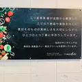 プラスミドリの写真_509140
