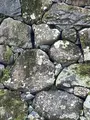 松江城の写真_509603