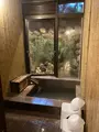 アンダリゾート伊豆高原の写真_509747
