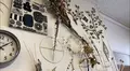 101 design storeの写真_510029