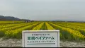 笠岡ベイファームの写真_510675