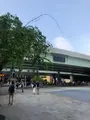 日本橋の写真_510871