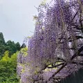 別府地獄めぐりの写真_511593