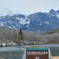 鏡池の写真_511936