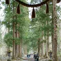 随神門の写真_511939